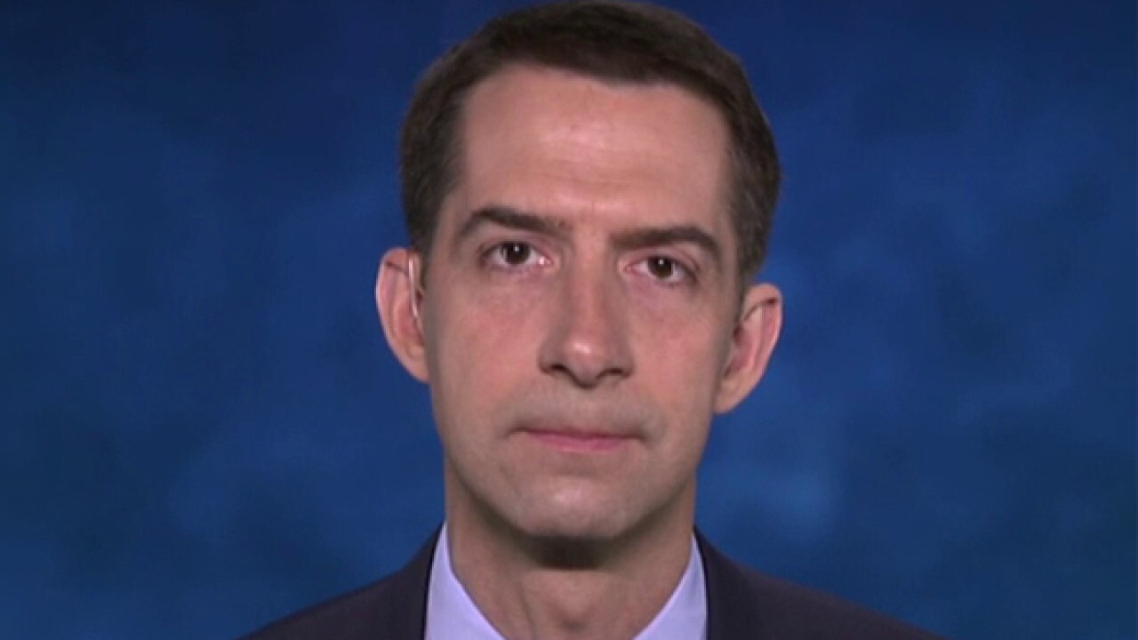 Tom Cotton suggests Chinese students shouldn't be allowed to study sciences in the US